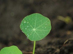 uniapp 小程序判断手机号码正则表达式