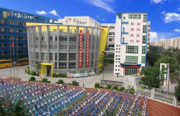深圳小学学校入学积分怎么算