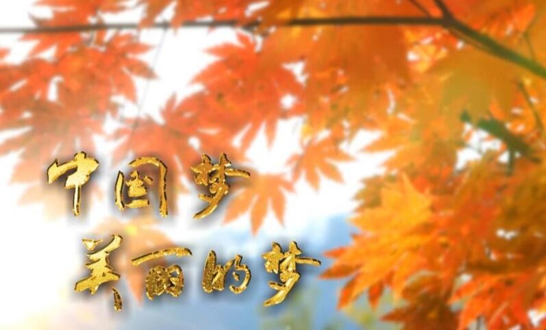 我的中国梦作文怎么写
