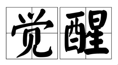 觉醒出处在哪