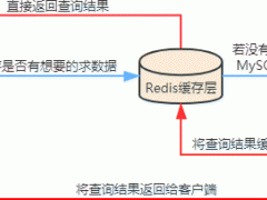 Redis缓存是什么？