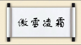 傲雪凌霜图片
