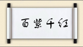 百紫千红图片