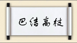 巴结高枝图片