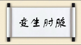 变生肘腋图片