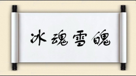 冰魂雪魄图片
