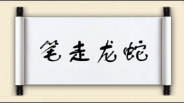笔走龙蛇图片
