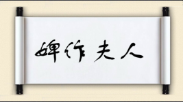 婢作夫人图片