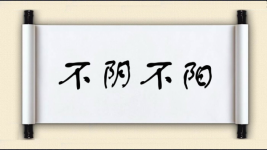 不阴不阳图片