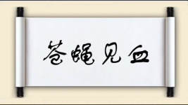 苍蝇见血图片