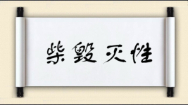 柴毁灭性图片