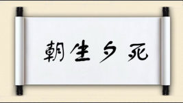 朝生夕死图片
