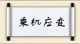 乘机应变图片