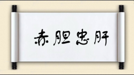 赤胆忠肝图片