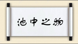 池中之物图片