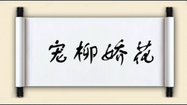宠柳娇花图片