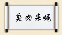 臭肉来蝇图片