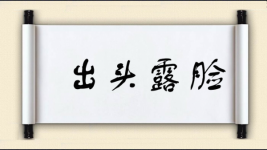 出头露脸图片