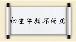 初生牛犊不怕虎图片
