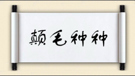 颠毛种种图片