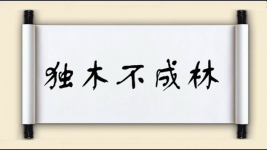 独木不成林图片