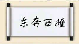 东奔西撞图片