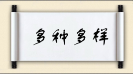多种多样图片