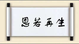 恩若再生图片