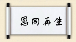 恩同再生图片