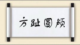 方趾圆颅图片