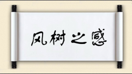 风树之感图片