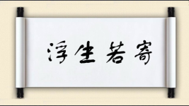 浮生若寄图片