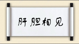 肝胆相见图片