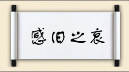 感旧之哀图片