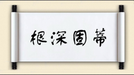 根深固蒂图片