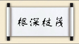 根深枝茂图片