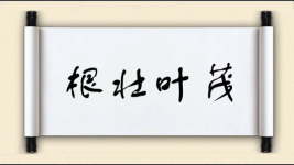 根壮叶茂图片