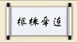 根株牵连图片