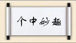 个中妙趣图片