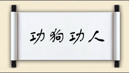 功狗功人图片