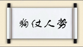 狗仗人势图片