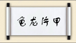 龟龙片甲图片