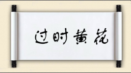过时黄花图片
