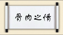 骨肉之情图片