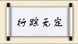 行踪无定图片