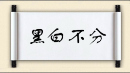 黑白不分图片