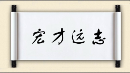 宏才远志图片