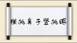 横挑鼻子竖挑眼图片