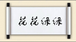 花花绿绿图片