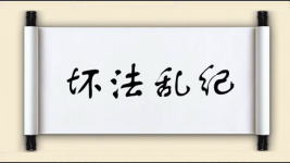 坏法乱纪图片